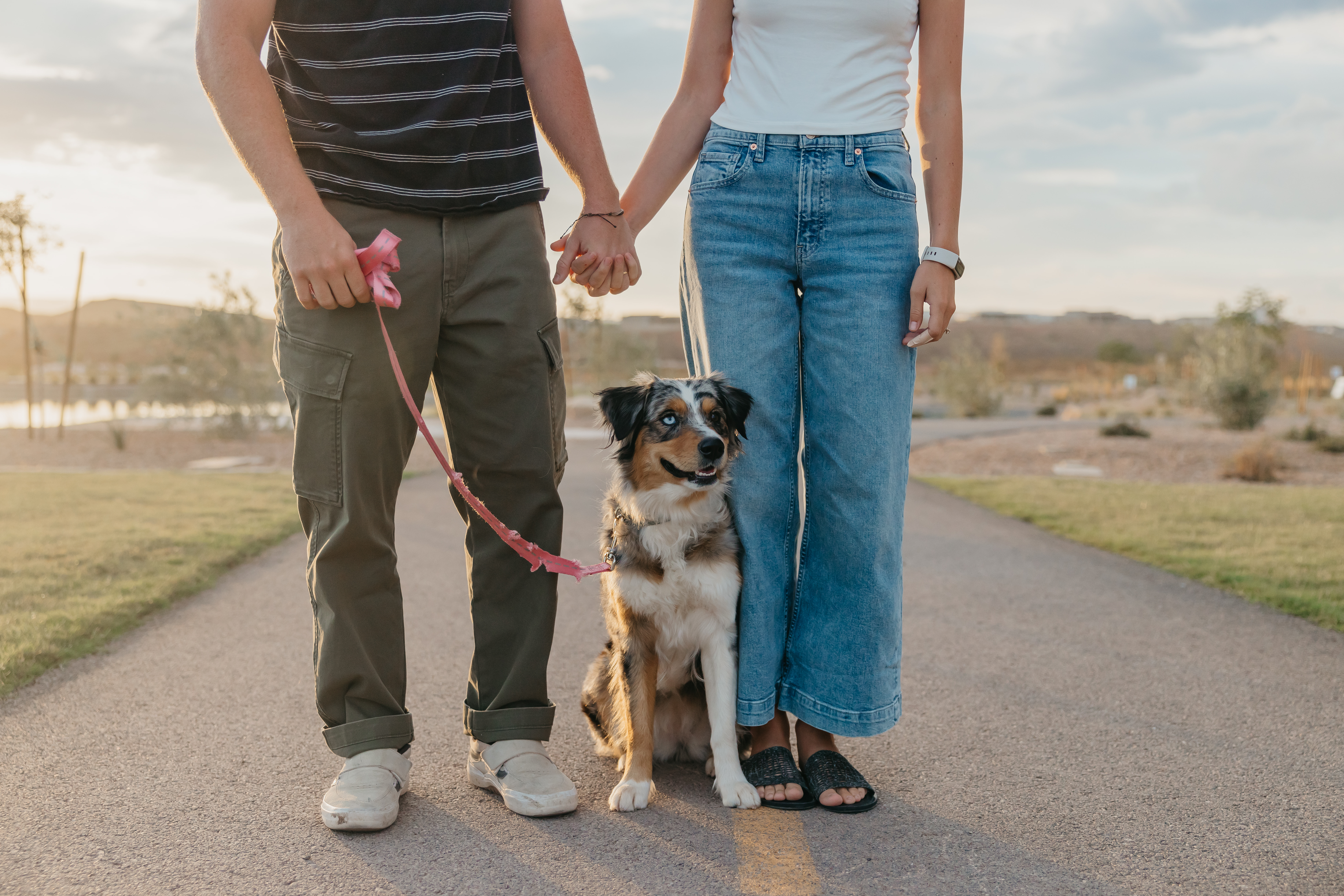 Pet-Friendly Rentals in Cedar City, Utah: A Tenant's Guide